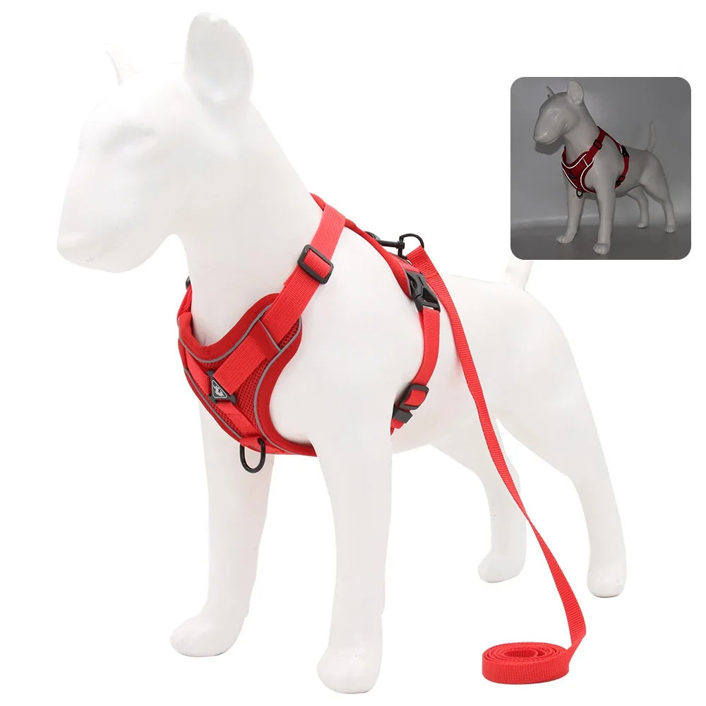 Small Dog Harness & Leash Set – Adjustable Vest for French Bulldogs, Pugs & Puppies