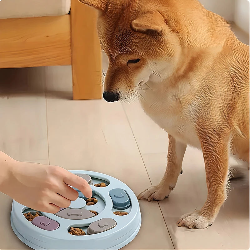 Interactive Dog Feeder – Educational Slow Feeding Toy for All Breeds