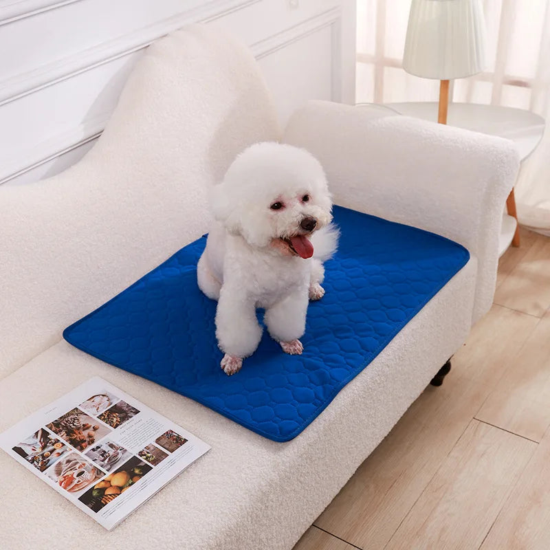 Washable Dog Urine Pad – Reusable Anti-Slip Puppy Training & Pet Bed Mat