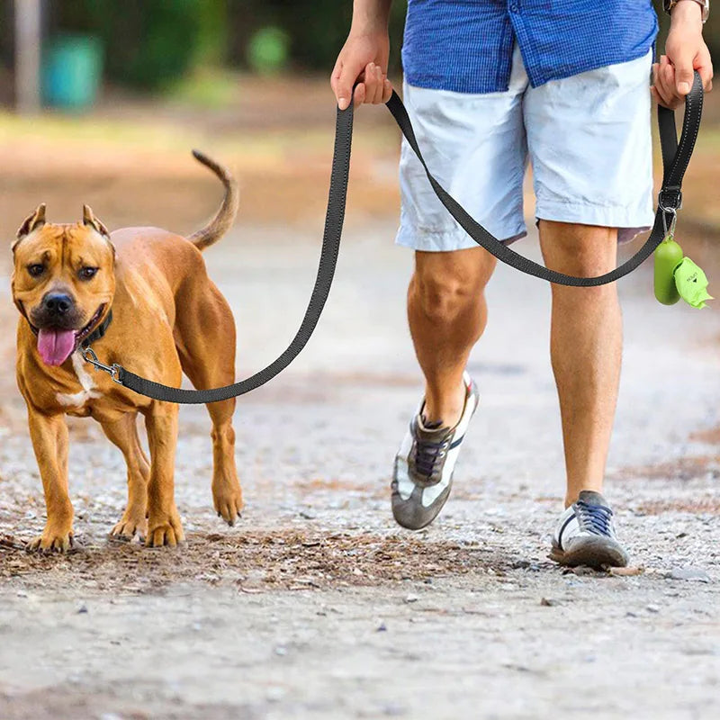 Reflective Dog & Cat Leash – Durable Adjustable Pet Walking and Training Rope