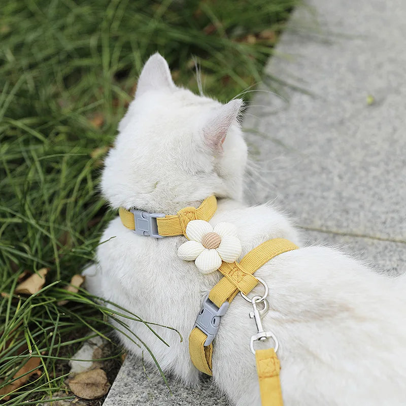 Adjustable Cat Harness & Leash Set – Breathable Chest Strap for Small Cats